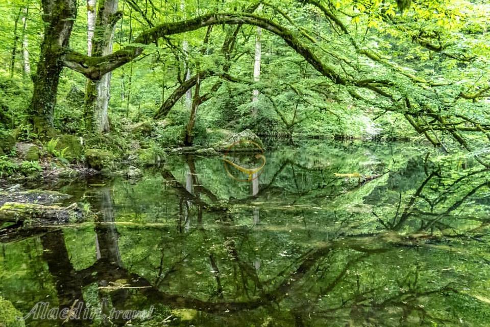 دریاچه فراخین نوشهر | علاءالدین تراول