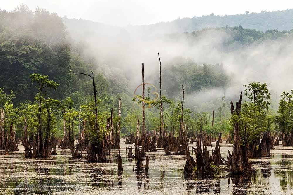 دریاچه ملا کلا نوشهر (تالاب ممرز/ تالاب ارواح) | علاءالدین تراول