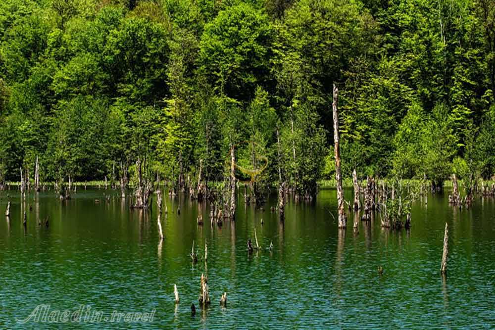 دریاچه ملا کلا نوشهر (تالاب ممرز/ تالاب ارواح) | علاءالدین تراول