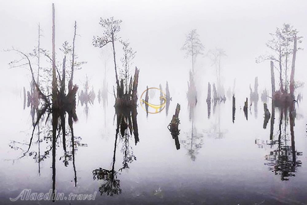 دریاچه ملا کلا نوشهر (تالاب ممرز/ تالاب ارواح) | علاءالدین تراول