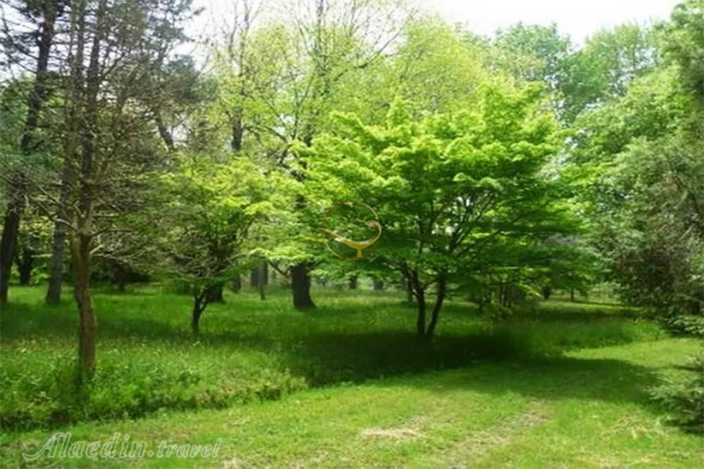 باغ گیاه شناسی نوشهر | علاءالدین تراول