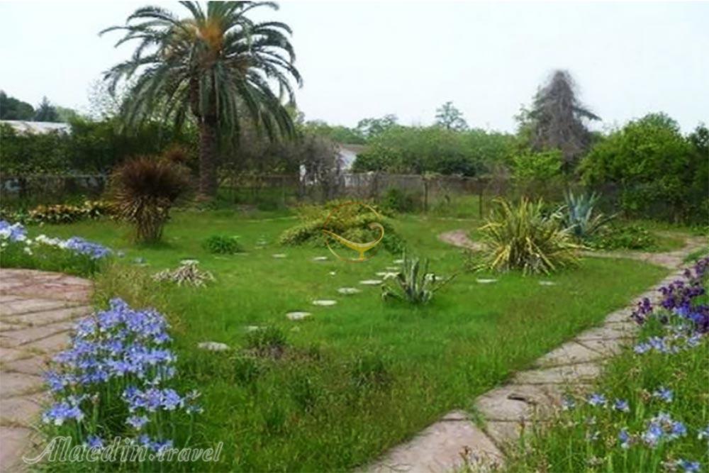 باغ گیاه شناسی نوشهر | علاءالدین تراول