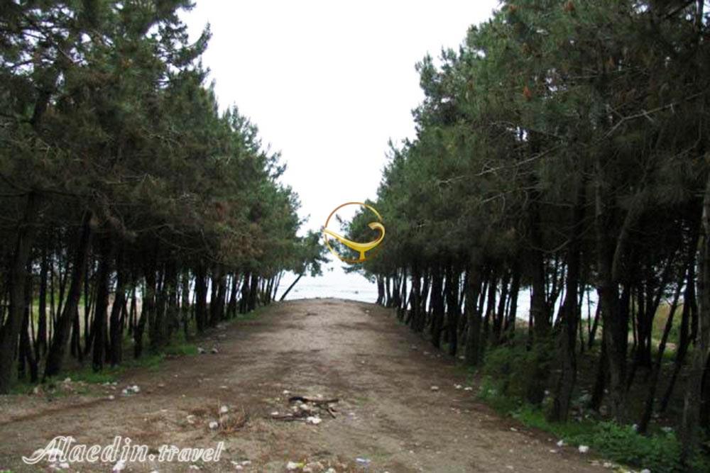 پارک جنگلی سی سنگان نوشهر | علاءالدین تراول