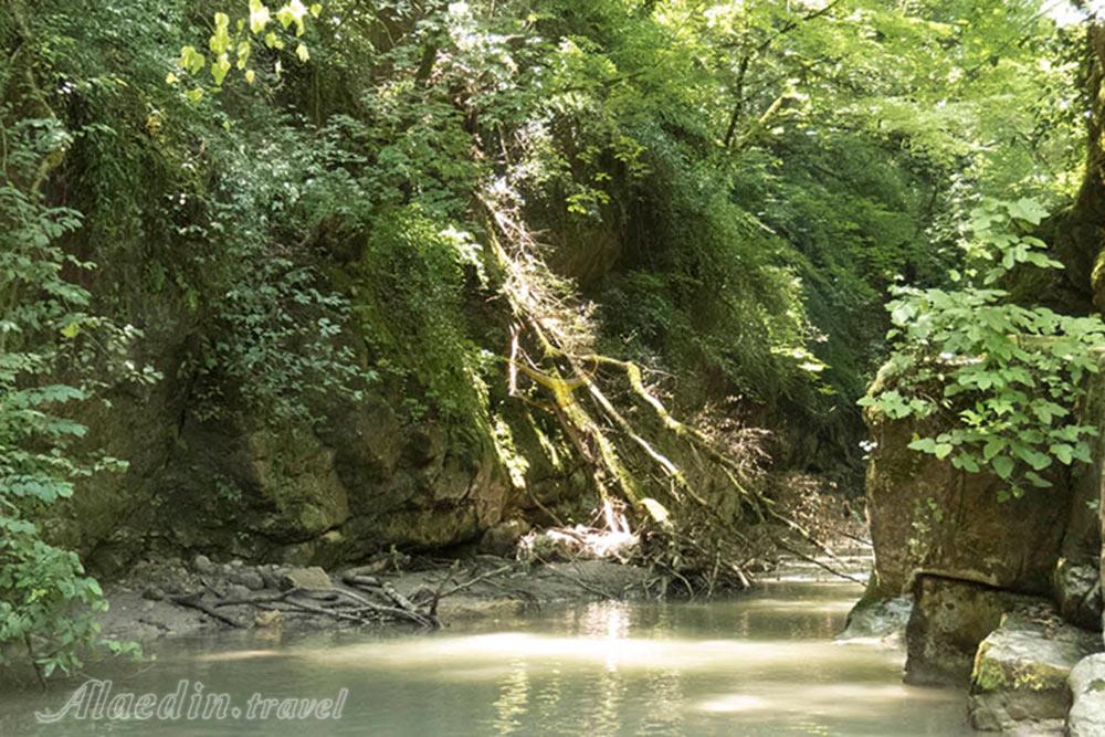 تنگ دار نوشهر