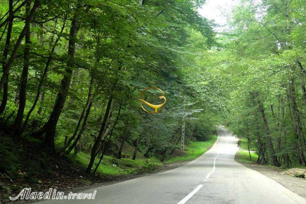 پارک جنگلی کشپل نور | علاءالدین تراول