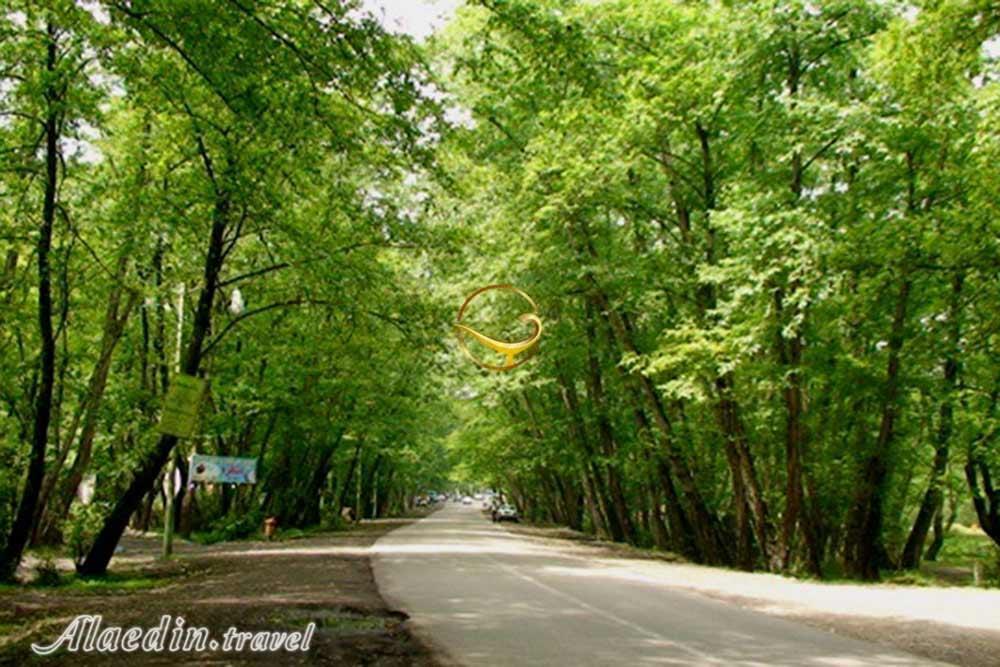 پارک جنگلی کشپل نور | علاءالدین تراول