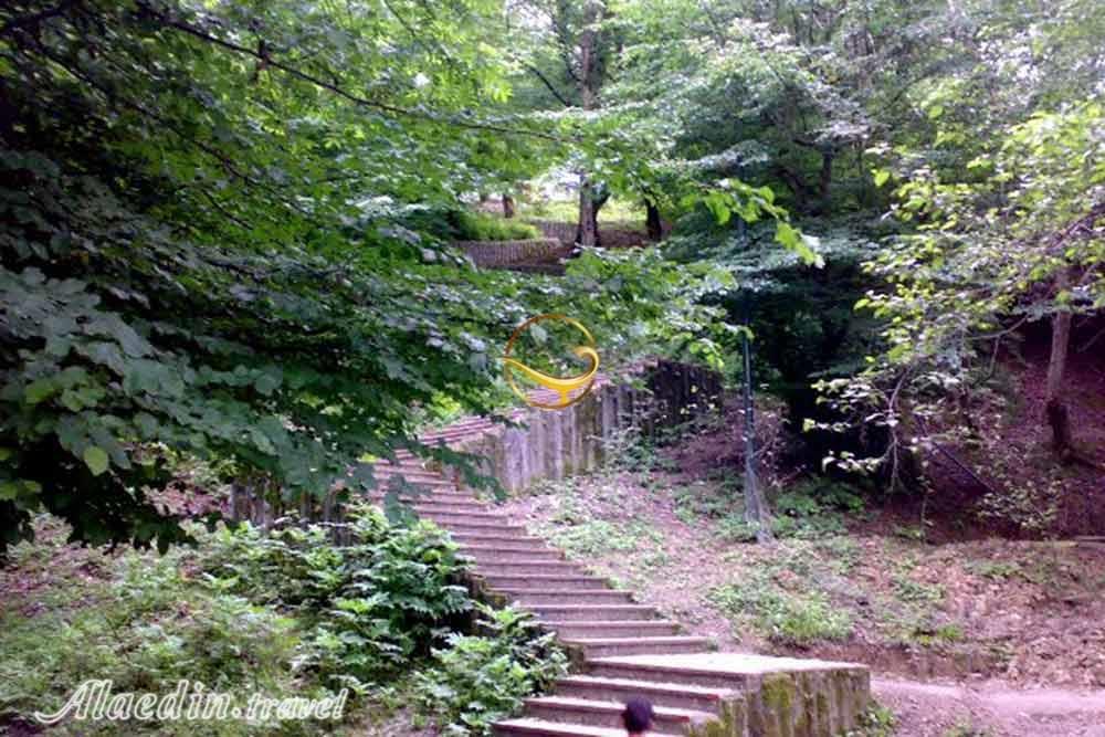 پارک جنگلی کشپل نور | علاءالدین تراول