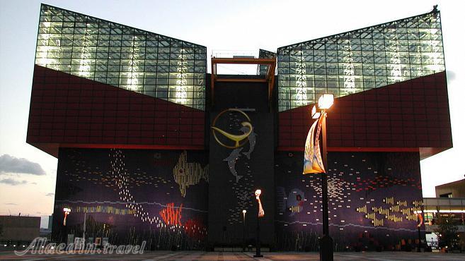 آکواریوم کایوکان اوساکا - ژاپن | علاءالدین تراول