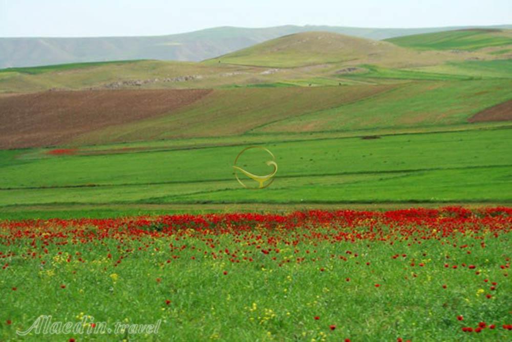 دشت مغان پارس آباد | علاءالدین تراول