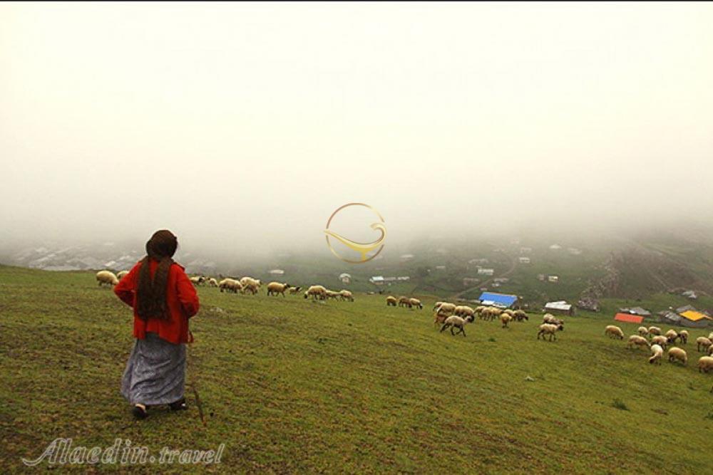 دشت مغان پارس آباد | علاءالدین تراول