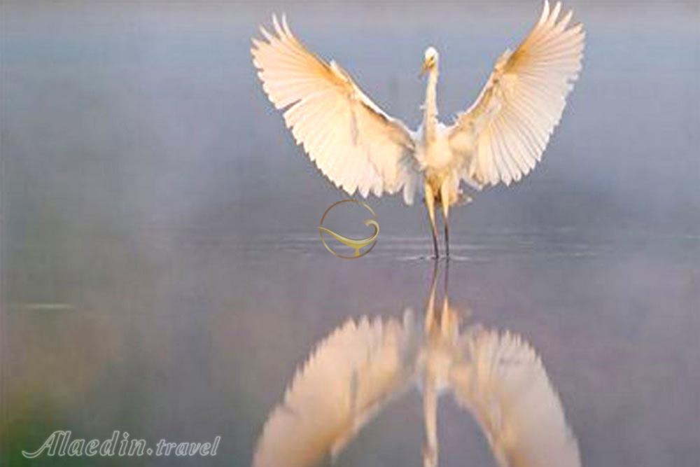 تالاب تپراق کندی در پارس آباد | علاءالدین تراول