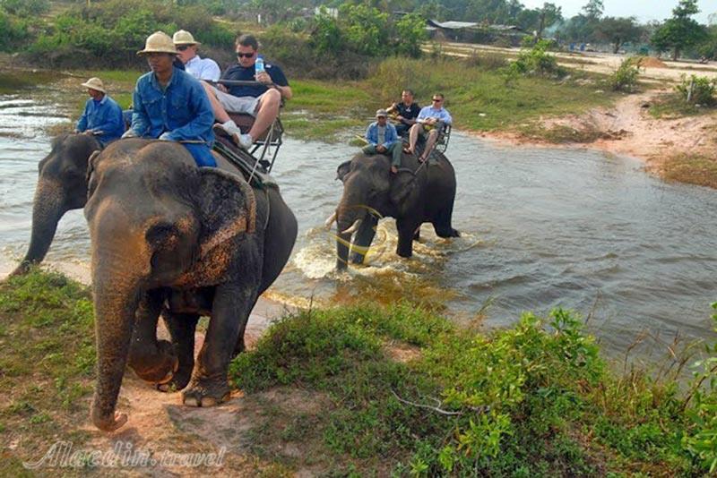 دهکده فیل ها در پاتایا - تایلند