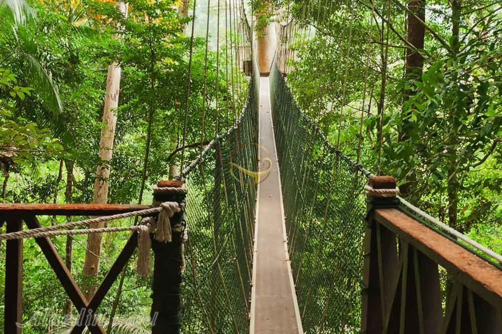 پارک ملی تامان نگارا پائولو در پنانگ - مالزی | علاءالدین تراول