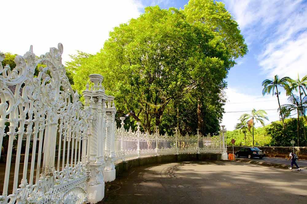 باغ گیاه شناسی پورت لوئیس - موریس | علاءالدین تراول