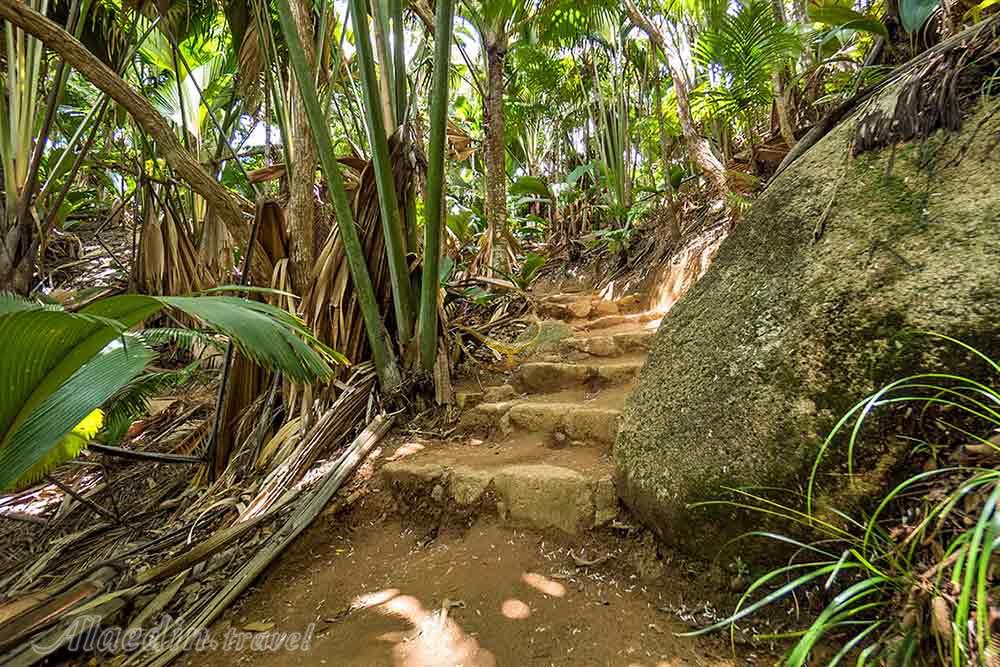 پارک ملی والی د می (ذخیره گاه طبیعی دره می) سیشل | علاءالدین تراول