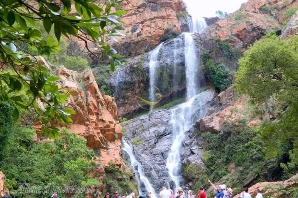 باغ ملی گیاه شناسی پرتوریا | علاءالدین تراول