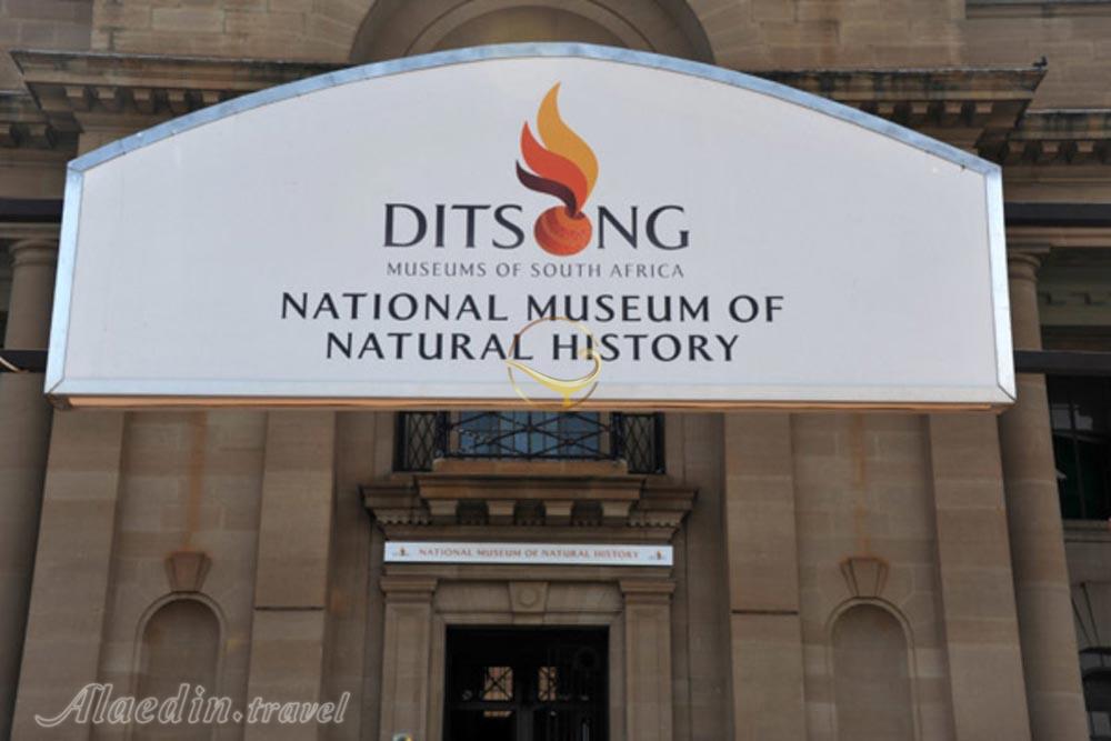 موزه ترنسوال (موزه ملی تاریخ طبیعی دیتسانگ) پرتوریا | علاءالدین تراول