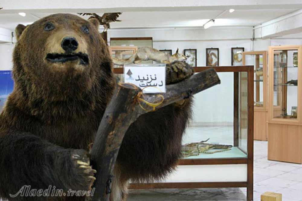 موزه ژئوپارک قشم | وبلاگ علاءالدین تراول