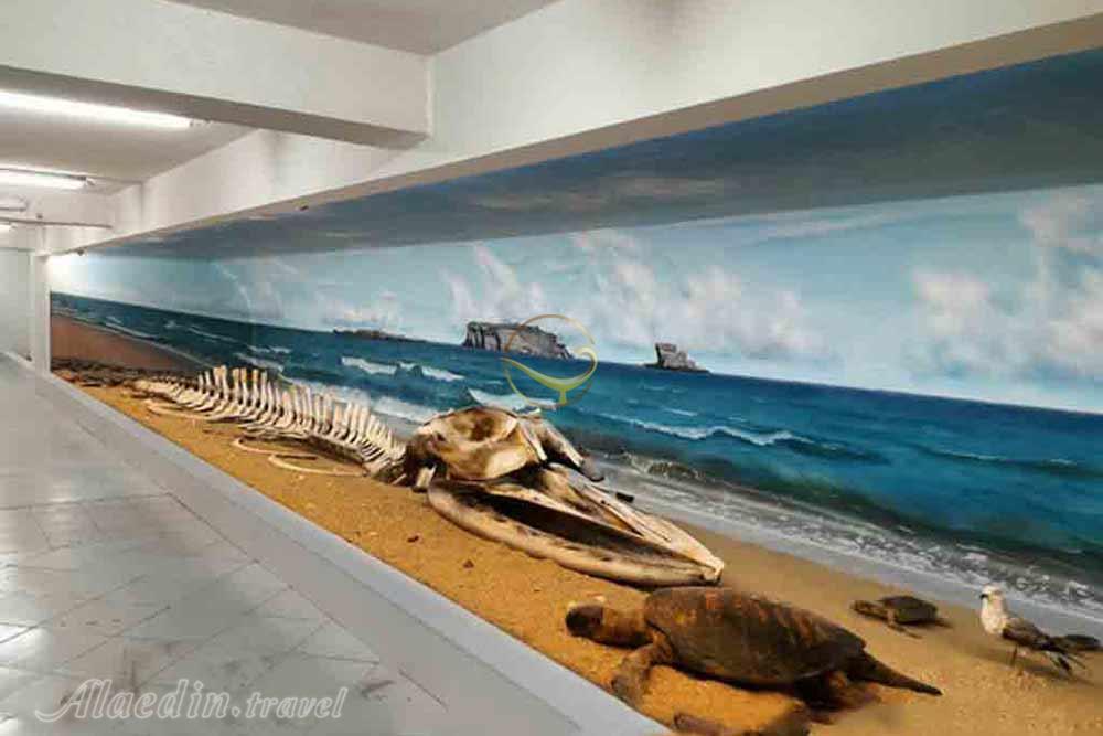 موزه ژئوپارک قشم | وبلاگ علاءالدین تراول