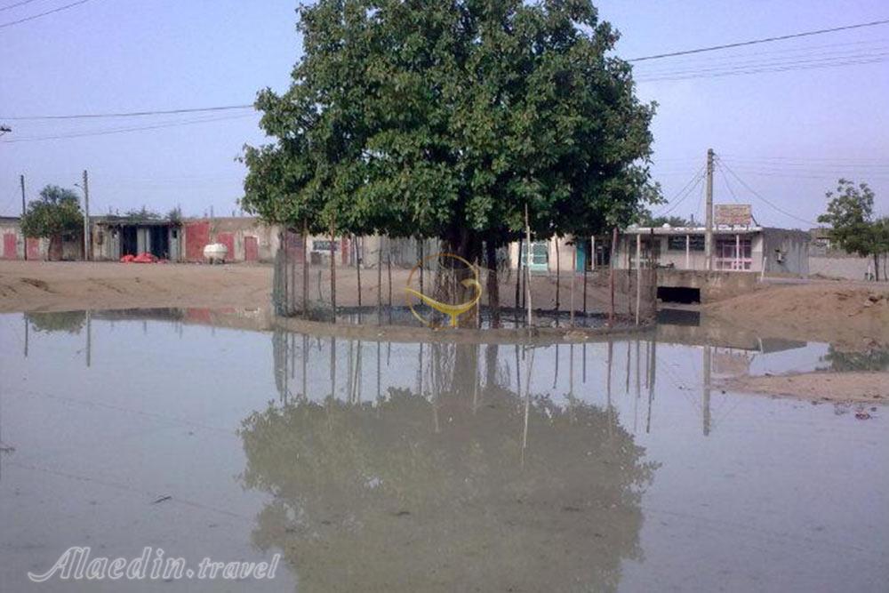 روستای توریان قشم | علاءالدین تراول