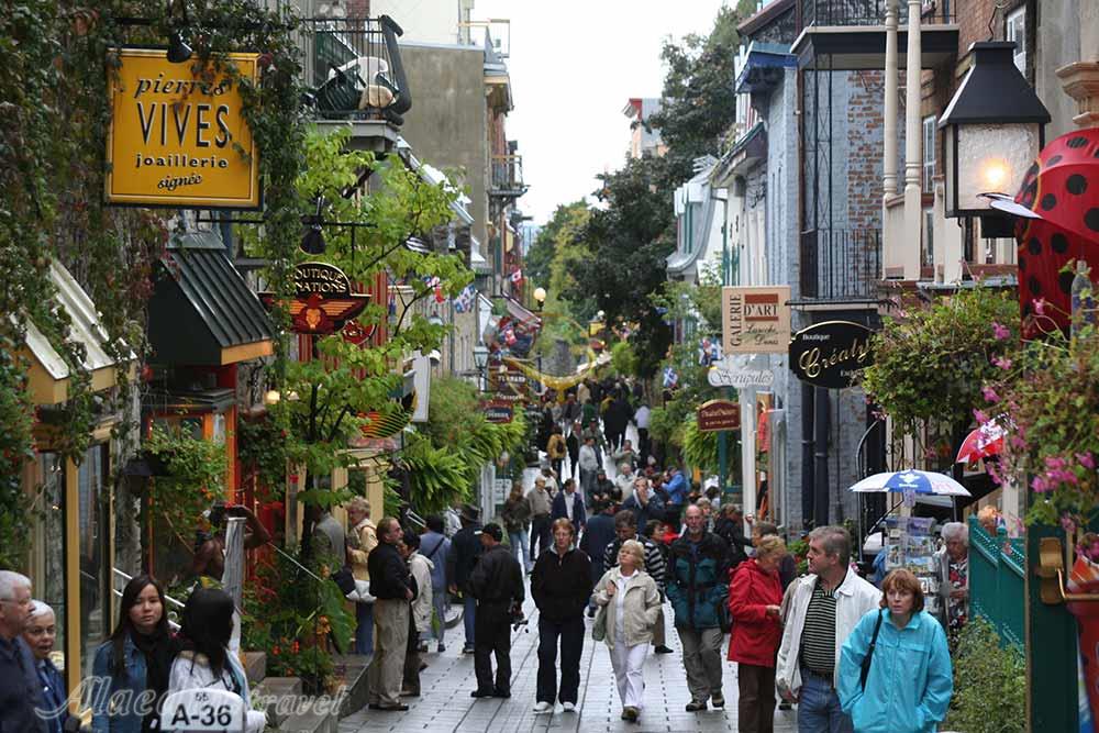 محله پتی شامپلن کبک | علاءالدین تراول