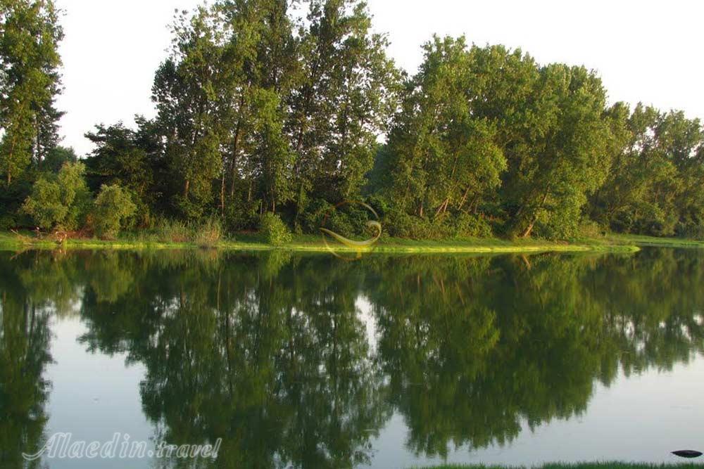 مرداب عینک رشت | علاءالدین تراول