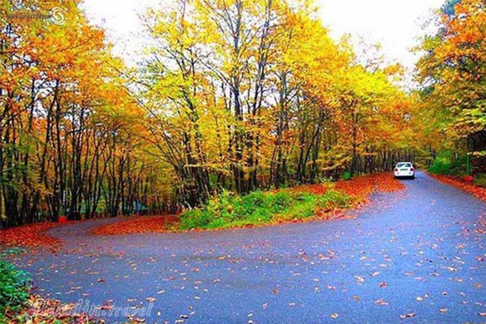 پارک جنگلی سراوان رشت | علاءالدین تراول