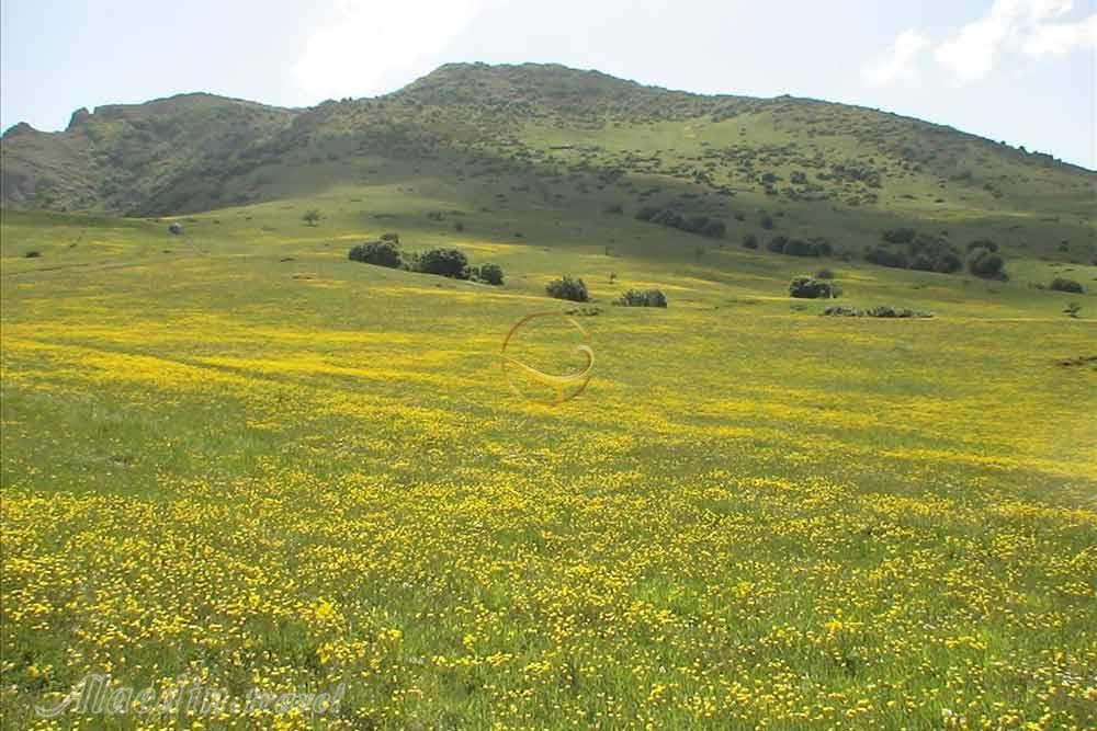 روستای داماش عمارلو در رودبار | علاءالدین تراول