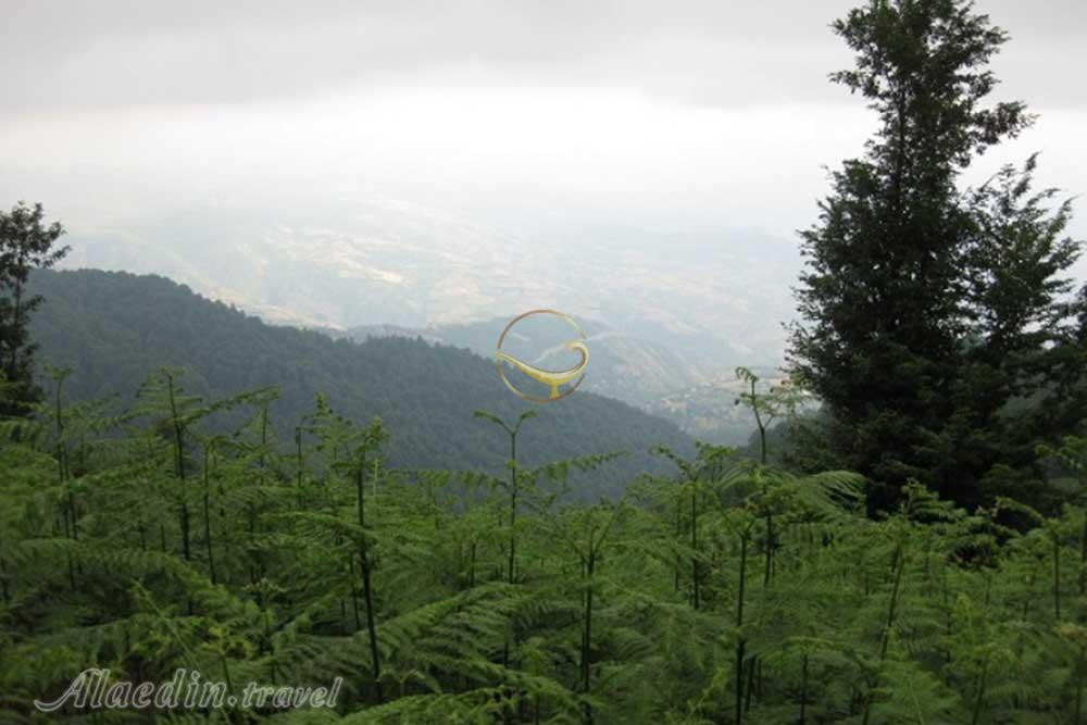 قله درفک در رودبار | علاءالدین تراول