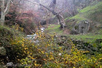 روستای کلشتر رودبار