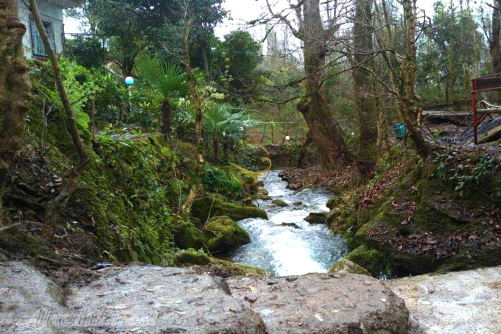 چشمه دمکش رودسر | علاءالدین تراول