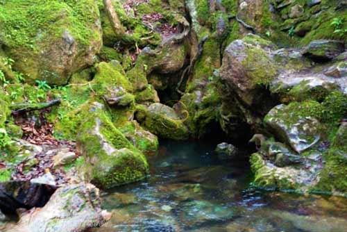 چشمه دمکش رودسر