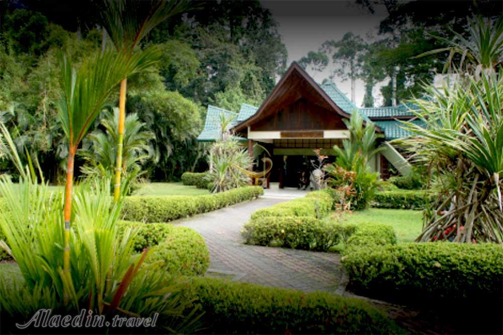 مرکز اورانگوتان سیپیلاک در صباح | علاءالدین تراول