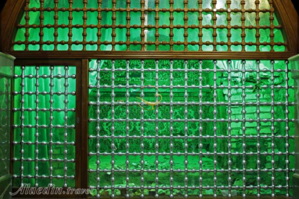 سرداب غیبت امام زمان (عج) در سامرا - عراق | علاءالدین تراول