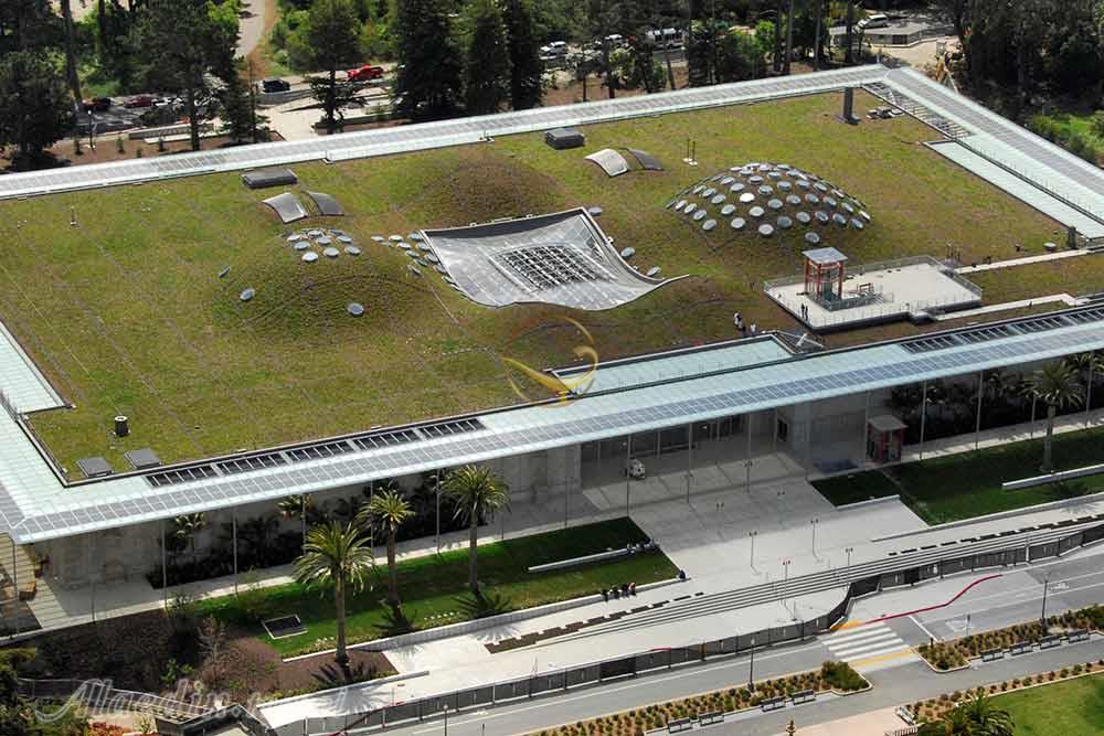 فرهنگستان علوم کالیفرنیا  | علاءالدین تراول