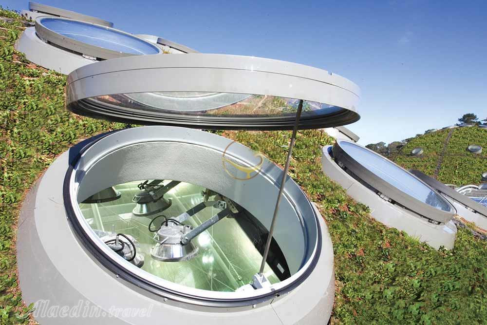 فرهنگستان علوم کالیفرنیا  | علاءالدین تراول