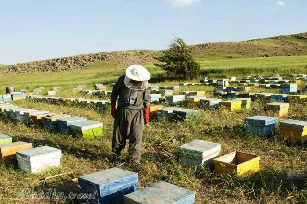 روستای ترجان سقز | علاءالدین تراول