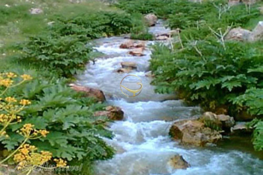 رودخانه زرینه رود سقز | علاءالدین تراول