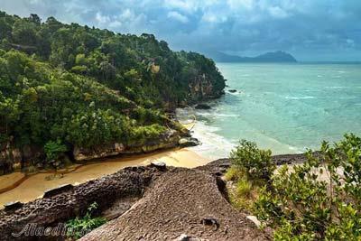 پارک ملی باکو در ساراواک - مالزی