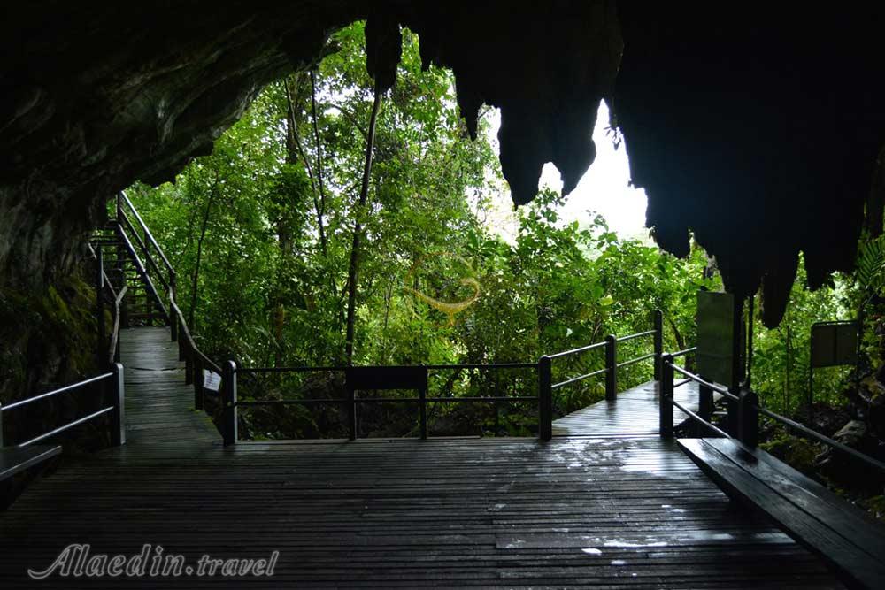 پارک ملی گونونگ مولو در ساراواک - مالزی | علاءالدین تراول