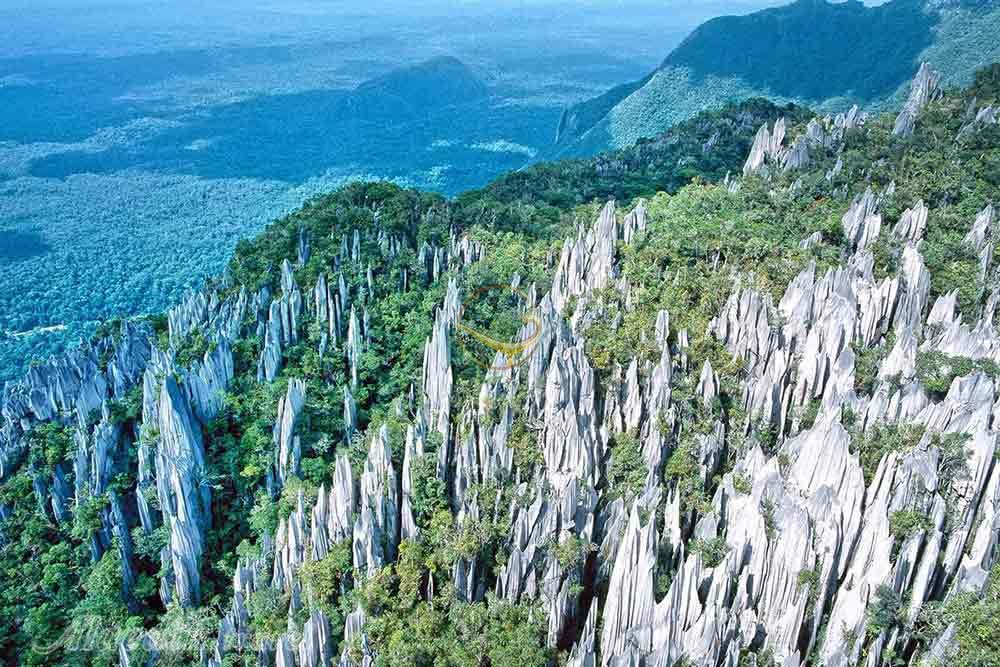 پارک ملی گونونگ مولو در ساراواک - مالزی | علاءالدین تراول