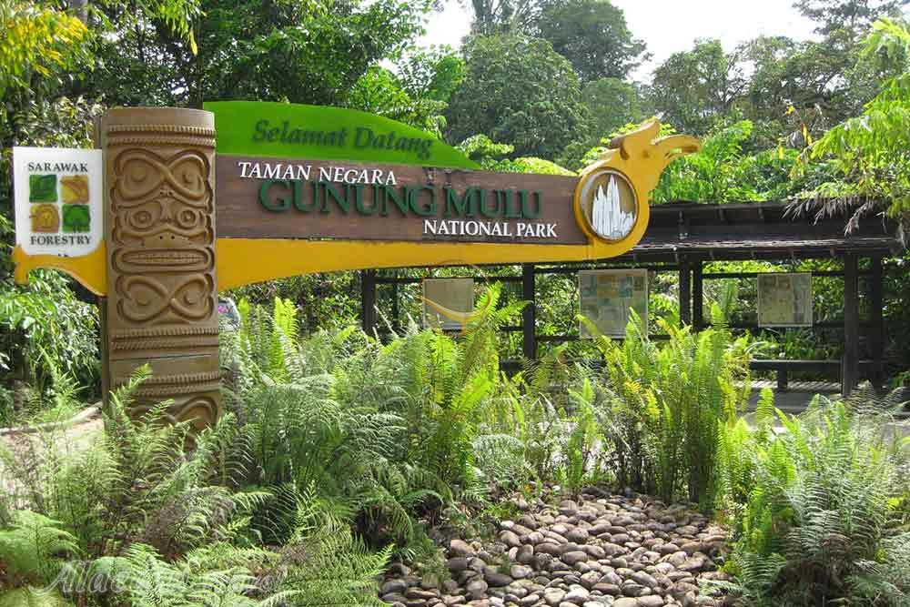 پارک ملی گونونگ مولو در ساراواک - مالزی | علاءالدین تراول