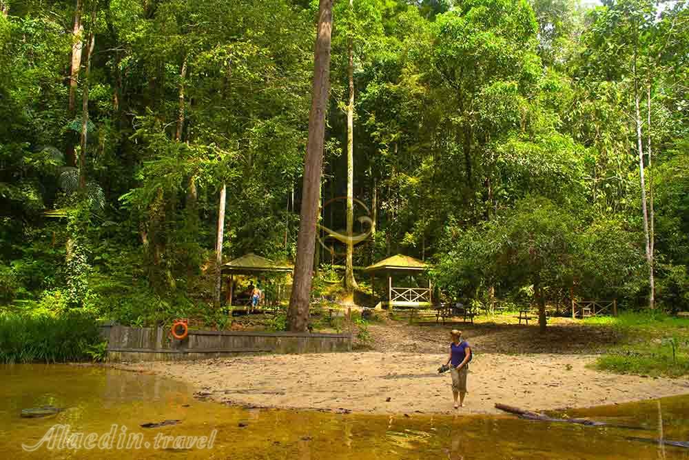 پارک ملی لمبیر هیلز ساراواک | علاءالدین تراول