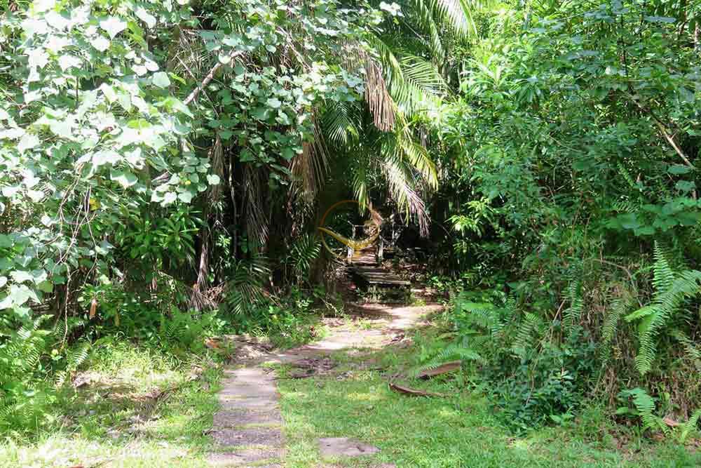 پارک ملی لمبیر هیلز ساراواک | علاءالدین تراول