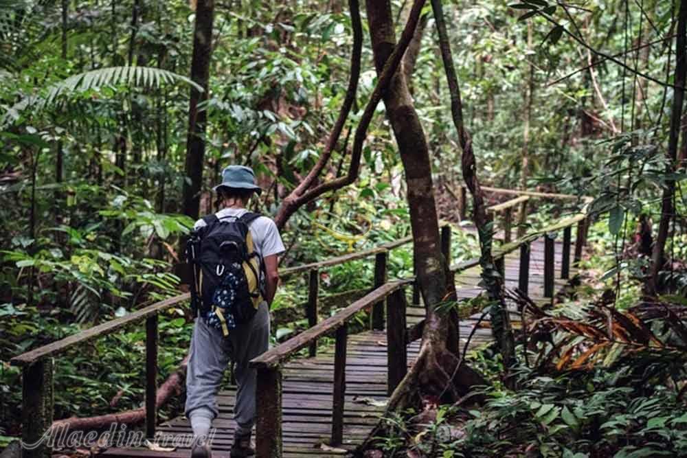 مرکز حیات وحش ماتانگ در ساراواک | علاءالدین تراول