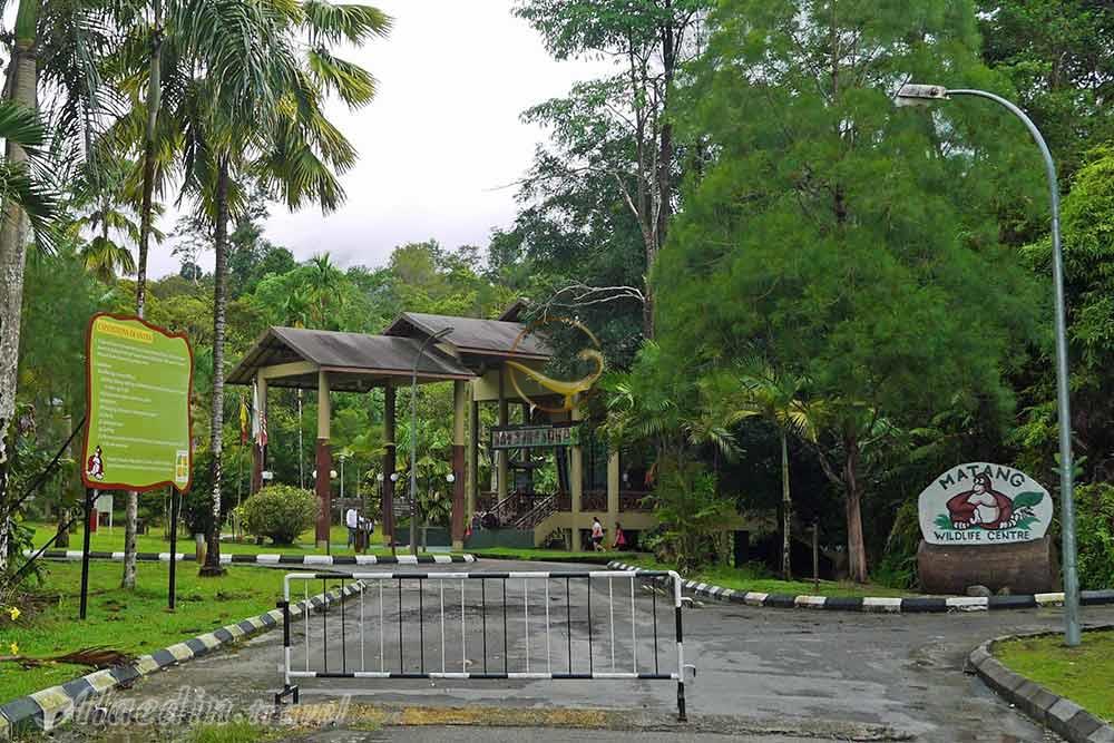 مرکز حیات وحش ماتانگ در ساراواک | علاءالدین تراول