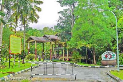 مرکز حیات وحش ماتانگ در ساراواک - مالزی