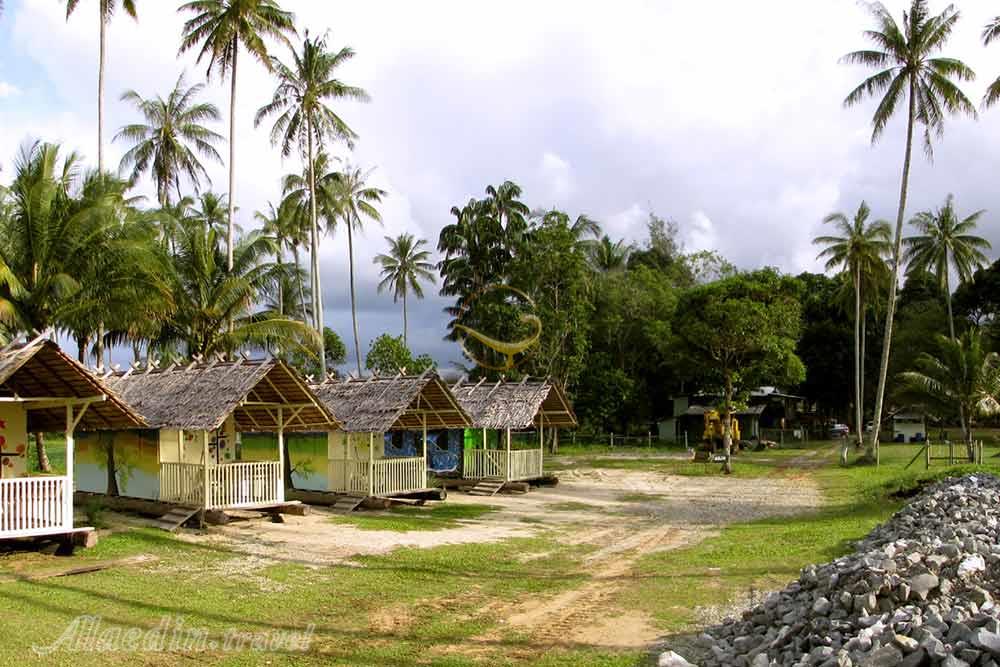 ساحل نخل سماتان ساراواک - مالزی | علاءالدین تراول