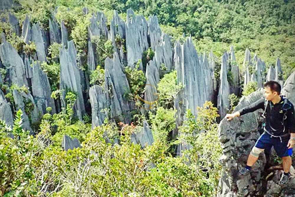 قله های نوین ساراواک - مالزی | علاءالدین تراول