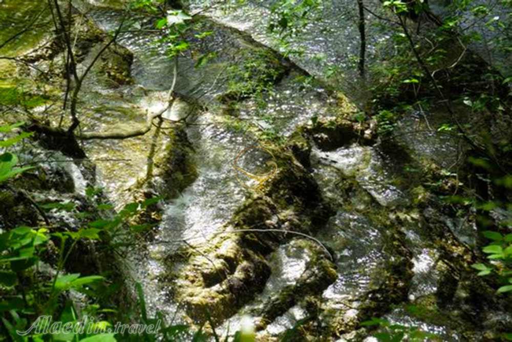 آبشار آهکی (اسکلیم) در سوادکوه | علاءالدین تراول